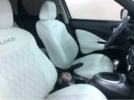 Авточехлы на Nissan Juke